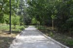 Δημιουργία μονοπατιού στην κοίτη του Πηνειού στη Λάρισα σε εξέλιξη
