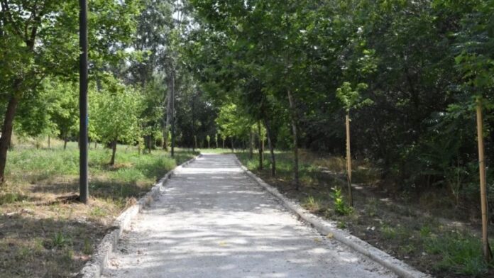 Δημιουργία μονοπατιού στην κοίτη του Πηνειού στη Λάρισα σε εξέλιξη