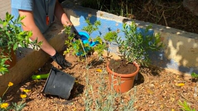 Φυτεύσεις από μαθητές του Αμαρουσίου για την Παγκόσμια Ημέρα Περιβάλλοντος