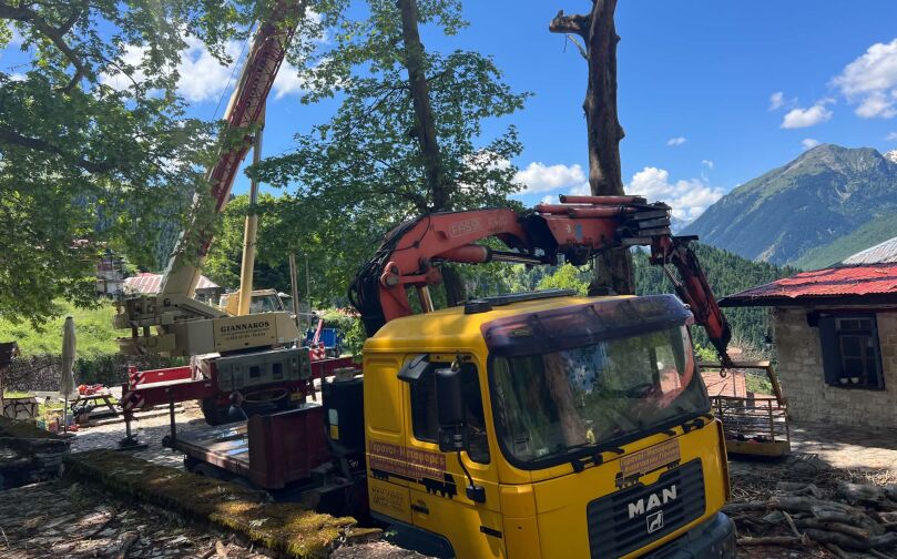 Κοπή και απομάκρυνση επικίνδυνων δέντρων από τον Δήμο Μετεώρων