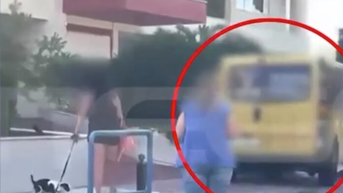 Παλαιό Φάληρο: Μεθυσμένη οδηγός με κλεμμένο βαν χτύπησε σταθμευμένα οχήματα και προσπάθησε να φύγει πεζή – Βίντεο