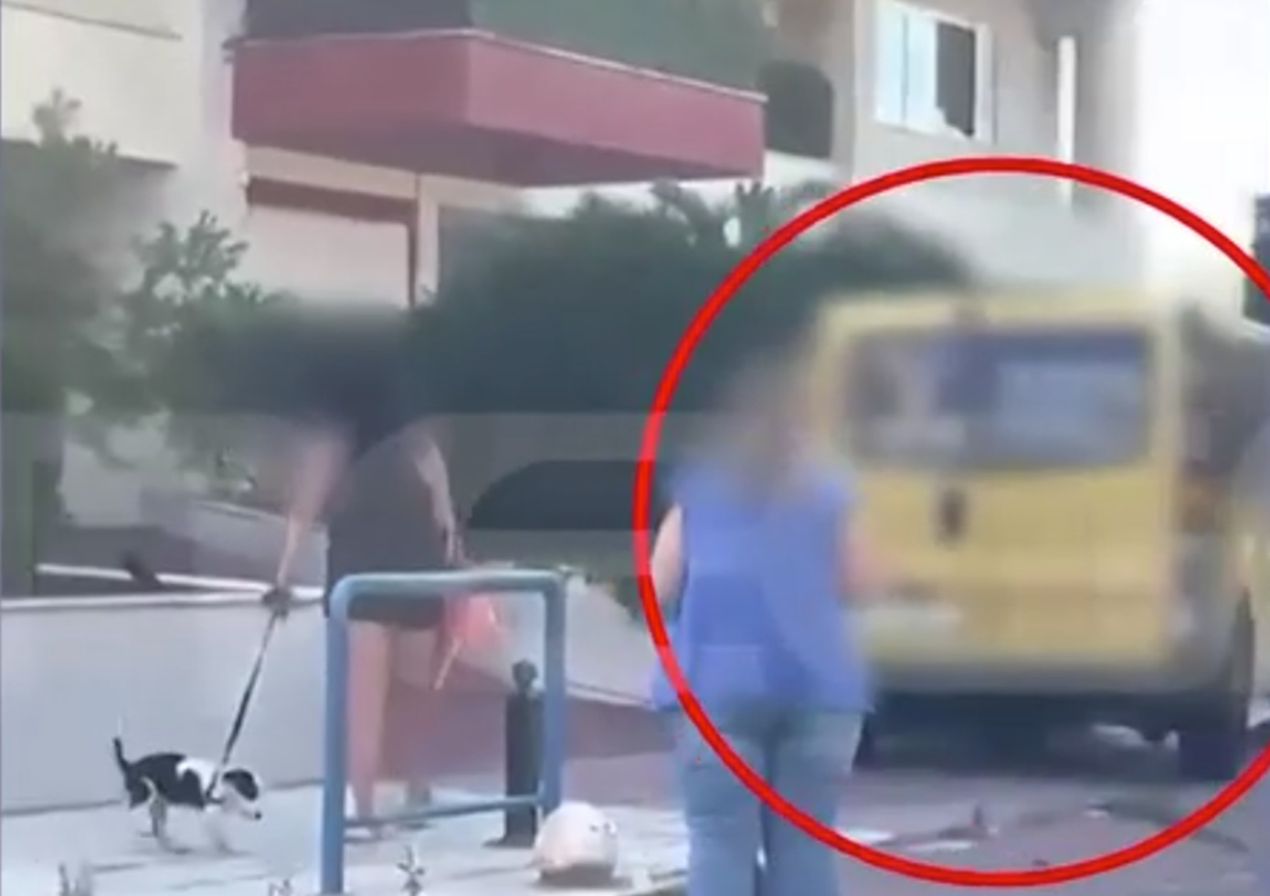 Παλαιό Φάληρο: Μεθυσμένη οδηγός με κλεμμένο βαν χτύπησε σταθμευμένα οχήματα και προσπάθησε να φύγει πεζή – Βίντεο