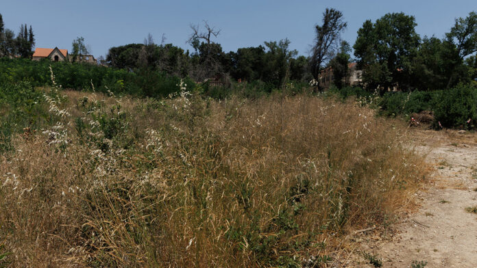 Πιθανή παράταση για τα ακαθάριστα οικόπεδα – «Υπάρχει η δυνατότητα να δοθεί λίγος χρόνος ακόμη»