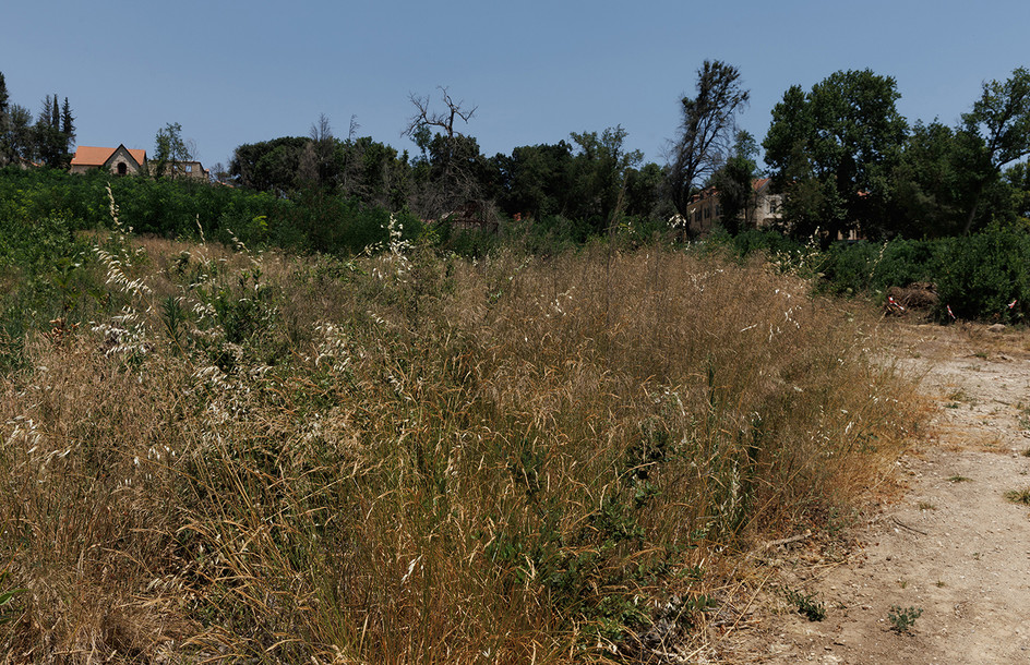 Πιθανή παράταση για τα ακαθάριστα οικόπεδα – «Υπάρχει η δυνατότητα να δοθεί λίγος χρόνος ακόμη»