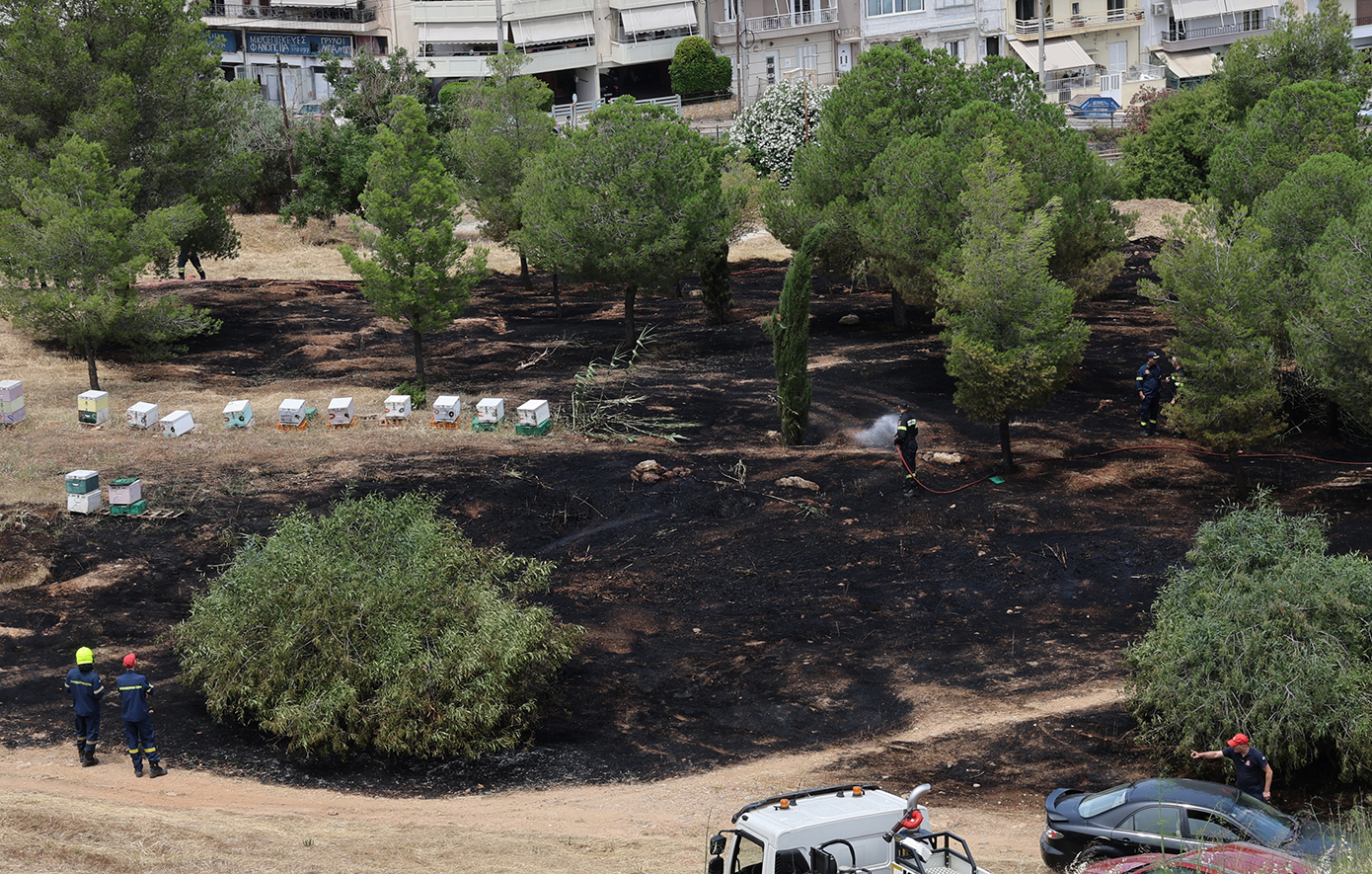 Από μελίσσια προκλήθηκε η φωτιά στον λόφο της Φιλοθέης – Αναζητούνται οι μελισσοκόμοι