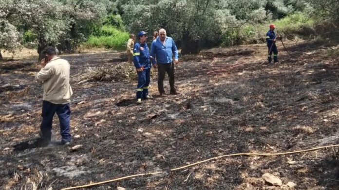Άμεση επέμβαση σε φωτιά στην περιοχή “Κουκουλέϊκα” του Δ. Νοτίου Πηλίου