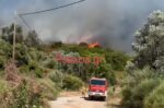 Φωτιά σε δασική έκταση στον Αλμυροπόταμο Ευβοίας – Ήχησε το 112