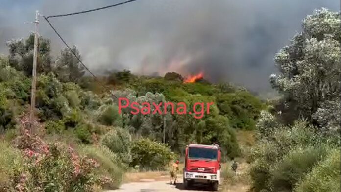Φωτιά σε δασική έκταση στον Αλμυροπόταμο Ευβοίας – Ήχησε το 112
