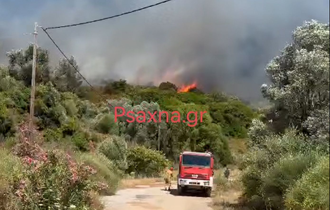 Φωτιά σε δασική έκταση στον Αλμυροπόταμο Ευβοίας – Ήχησε το 112