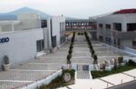 Κίνητρο για την υιοθεσία αδέσποτων ζώων από τον Δήμο Πυλαίας – Χορτιάτη