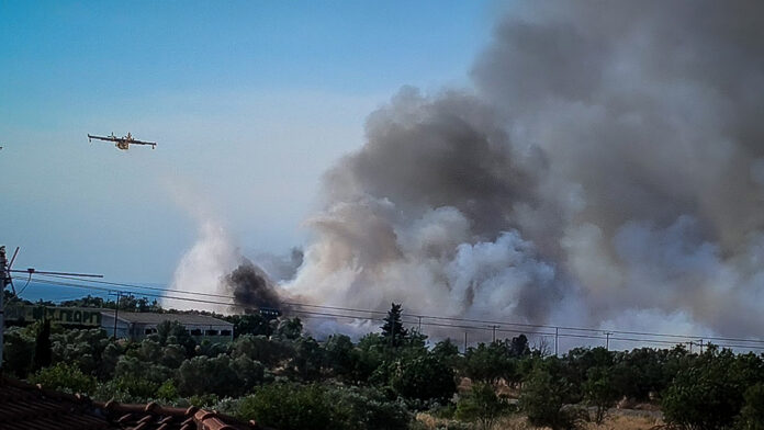 Φωτιά στην Πευκάλη Σοφικού Κορινθίας: Οι φλόγες πλησίασαν τα σπίτια – Σε ύφεση το μέτωπο
