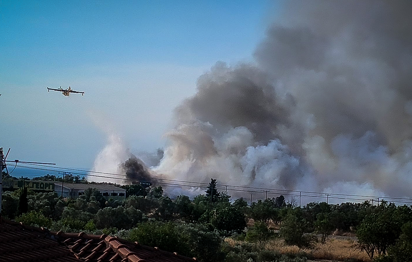 Φωτιά στην Πευκάλη Σοφικού Κορινθίας: Οι φλόγες πλησίασαν τα σπίτια – Σε ύφεση το μέτωπο