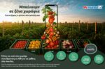 My market: τι βάζεις στο τραπέζι σου;