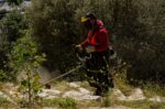 Καθαρισμός οικοπέδων: Νέα προθεσμία έως και τις 22 Ιουνίου – Τα πρόστιμα και όσα πρέπει να γνωρίζετε
