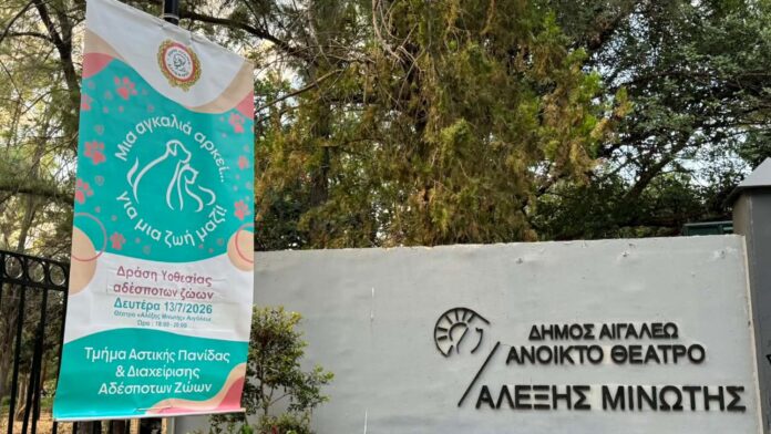 Δράση υιοθεσίας αδέσποτων ζώων στο πλαίσιο της Πολιτιστικής Διαδρομής 2026 με μεγάλη ανταπόκριση