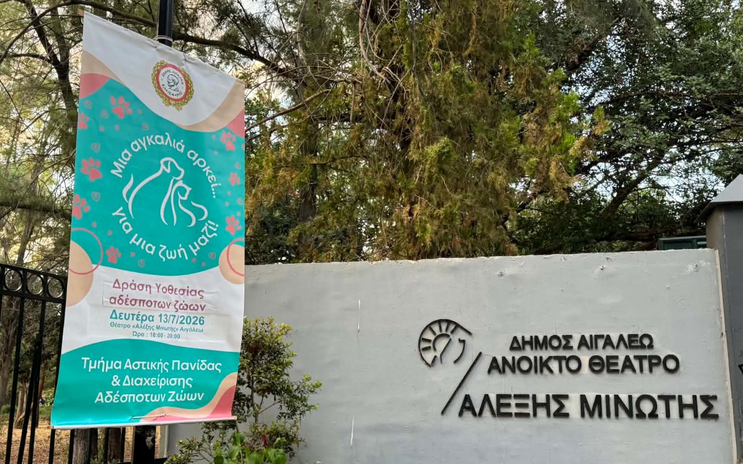 Δράση υιοθεσίας αδέσποτων ζώων στο πλαίσιο της Πολιτιστικής Διαδρομής 2026 με μεγάλη ανταπόκριση