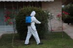 Ιός του δυτικού Νείλου: Ψεκασμοί στη Γλυφάδα μετά από επιβεβαιωμένο κρούσμα