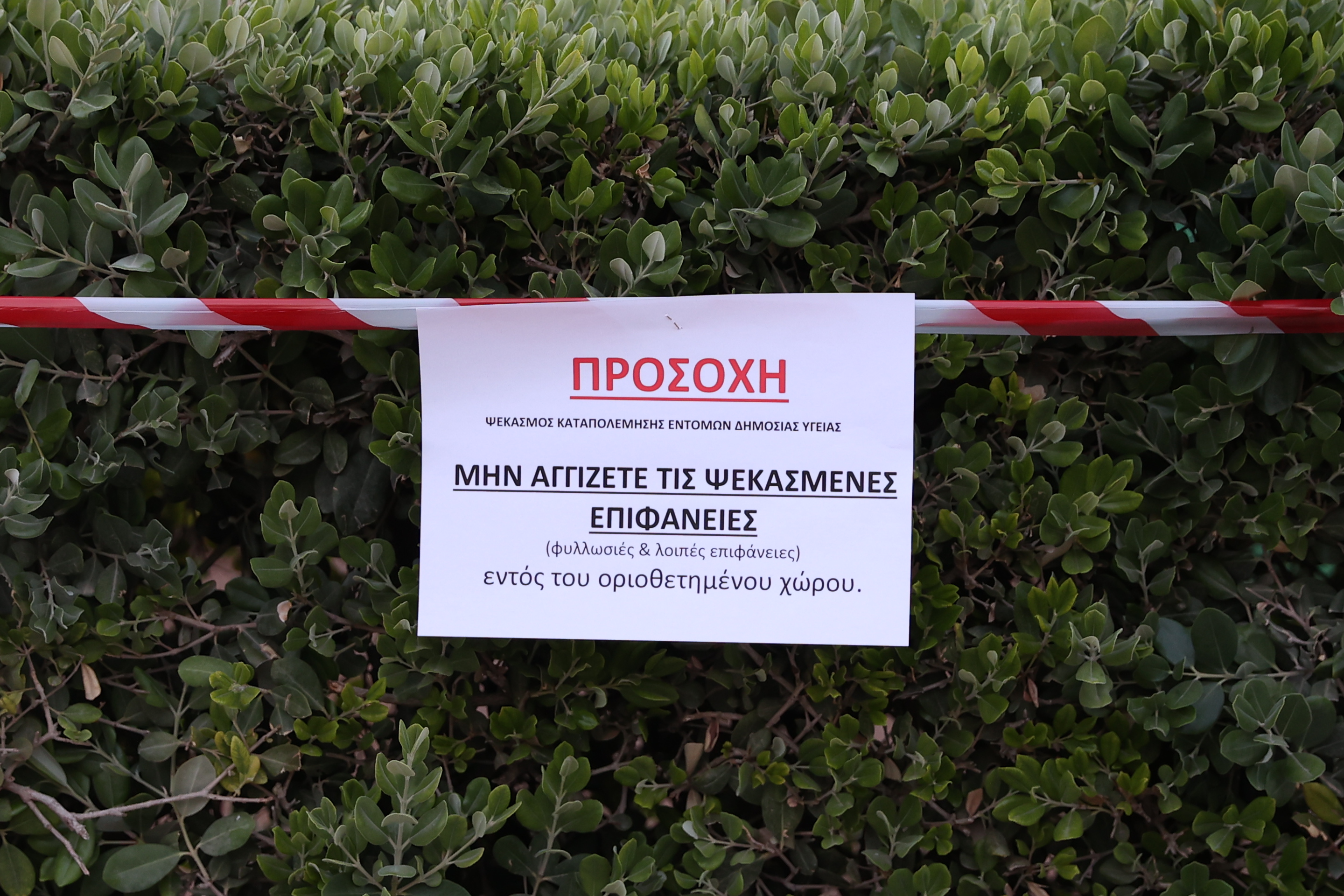 Ιός του δυτικού Νείλου: Ψεκασμοί στη Γλυφάδα μετά το επιβεβαιωμένο κρούσμα