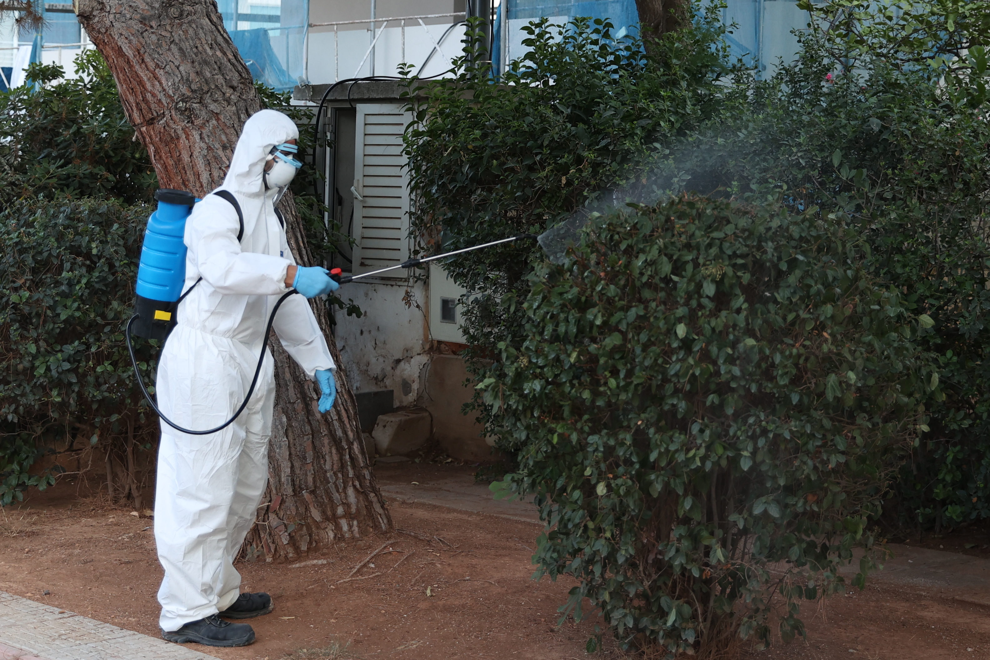 Ιός του δυτικού Νείλου: Ψεκασμοί στη Γλυφάδα μετά το επιβεβαιωμένο κρούσμα