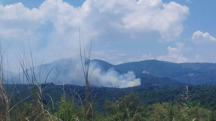 Πυρκαγιά σε αγροτοδασική έκταση στην Κέρκυρα: Προειδοποίηση για πολύ ενισχυμένους ανέμους αύριο, Κυριακή