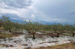 Έντονη χαλαζόπτωση προκάλεσε αγροτική καταστροφή στον Δήμο Μακρακώμης