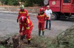 Δ. Παπάγου – Χολαργού: Υπηρεσίες και εθελοντές σε πλήρη ετοιμότητα στην χθεσινή κακοκαιρία