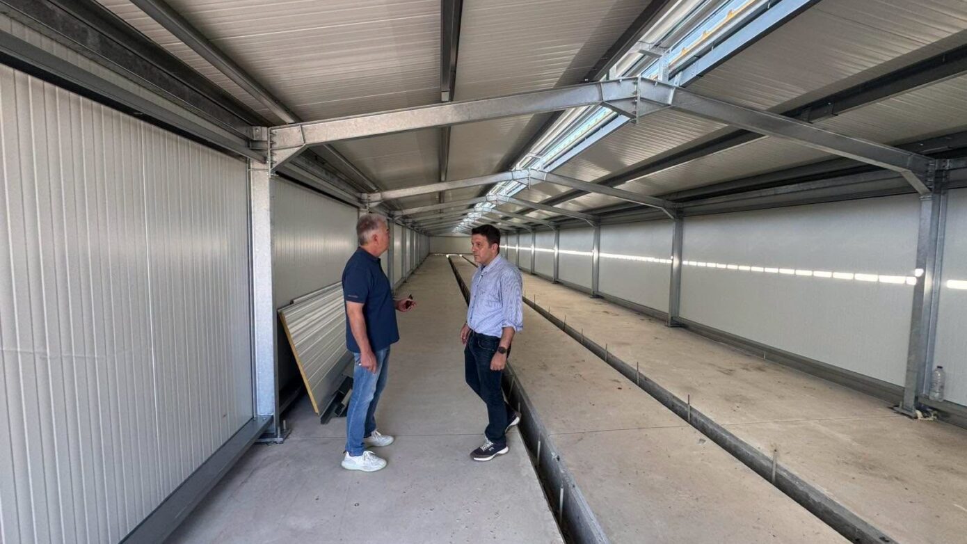 Δήμος Δελφών: Προχωρά το καταφύγιο αδέσποτων ζώων συντροφιάς