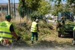 Δήμος Πεντέλης: Εκτεταμένοι καθαρισμοί και αποψιλώσεις για την αντιπυρική προστασία