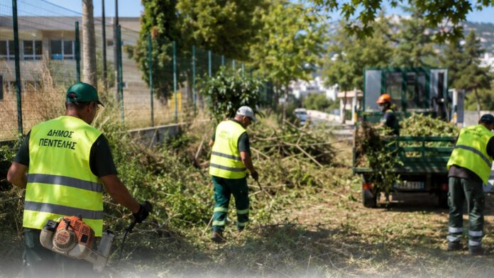Δήμος Πεντέλης: Εκτεταμένοι καθαρισμοί και αποψιλώσεις για την αντιπυρική προστασία