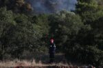 Πυρκαγιά στην Οινόη: Ενισχυμένες οι πυροσβεστικές δυνάμεις, βελτιωμένη η εικόνα