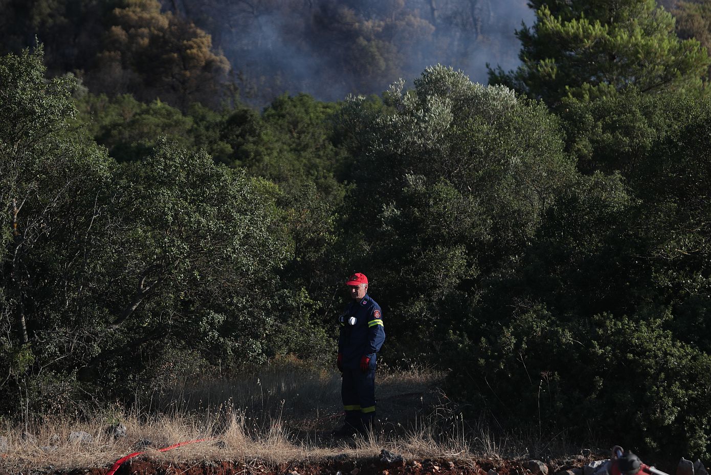 Πυρκαγιά στην Οινόη: Ενισχυμένες οι πυροσβεστικές δυνάμεις, βελτιωμένη η εικόνα