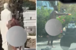 Τουρίστας ασέλγησε στην προτομή του Καραμανλή και ξεγυμνώθηκε σε καφέ στη Μύκονο