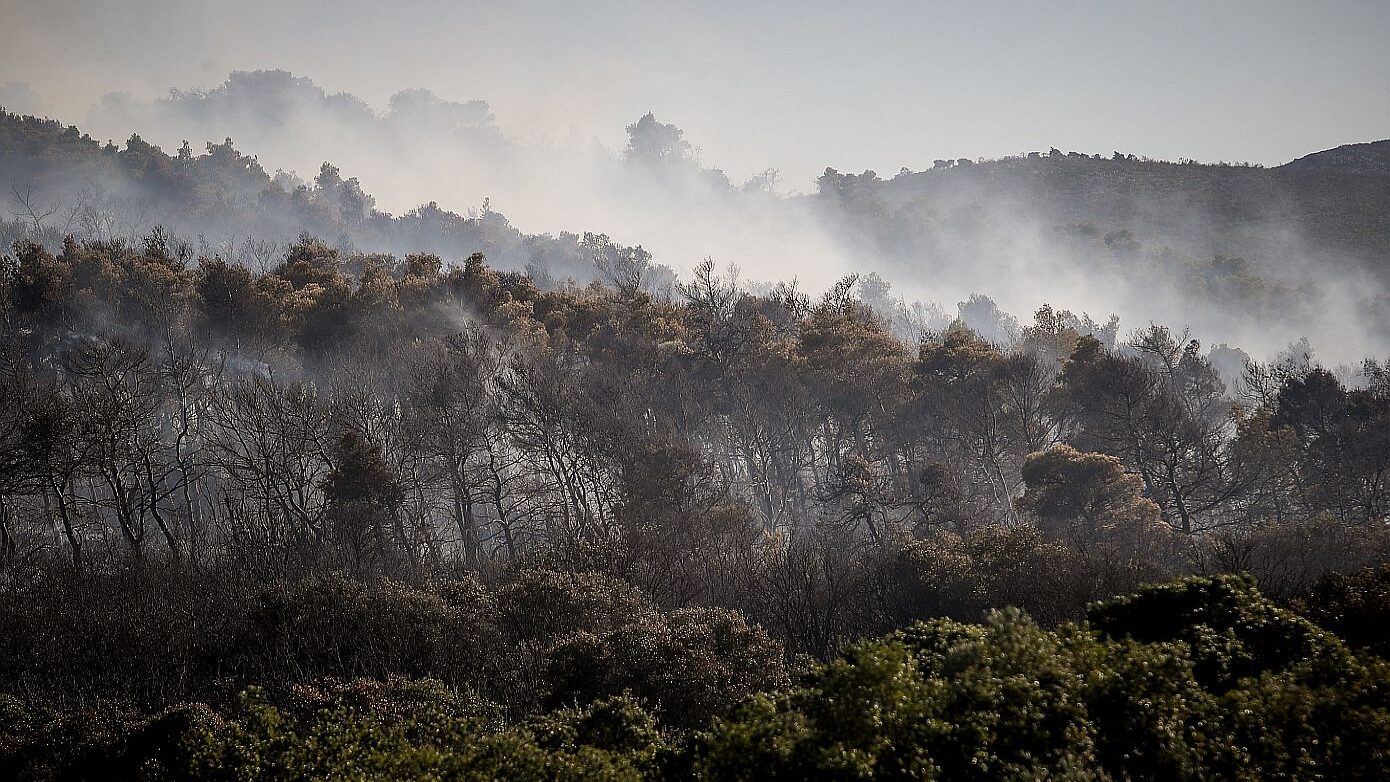 Φωτιά στην Οινόη εμφανίζει πυροεπαγωγική συμπεριφορά – «δημιουργεί τον δικό της καιρό» σύμφωνα με το Meteo