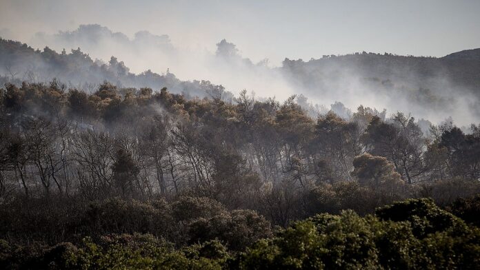 Φωτιά στην Οινόη εμφανίζει πυροεπαγωγική συμπεριφορά – «δημιουργεί τον δικό της καιρό» σύμφωνα με το Meteo