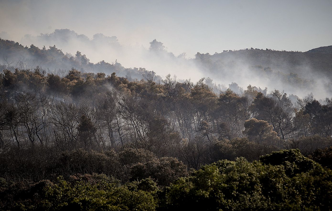 Φωτιά στην Οινόη εμφανίζει πυροεπαγωγική συμπεριφορά – «δημιουργεί τον δικό της καιρό» σύμφωνα με το Meteo