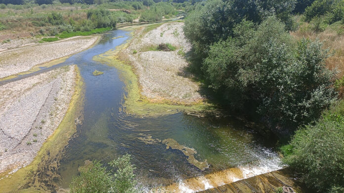 Πηνειός ποταμός: Μείωση της ροής του και πώς εξηγείται το φαινόμενο