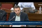 Εκπρόσωπος του Εθνικού Συμβουλίου Νεολαίας στην Επιτροπή Περιφερειών της Βουλής και την Περιφέρεια Ανατολικής Μακεδονίας και Θράκης