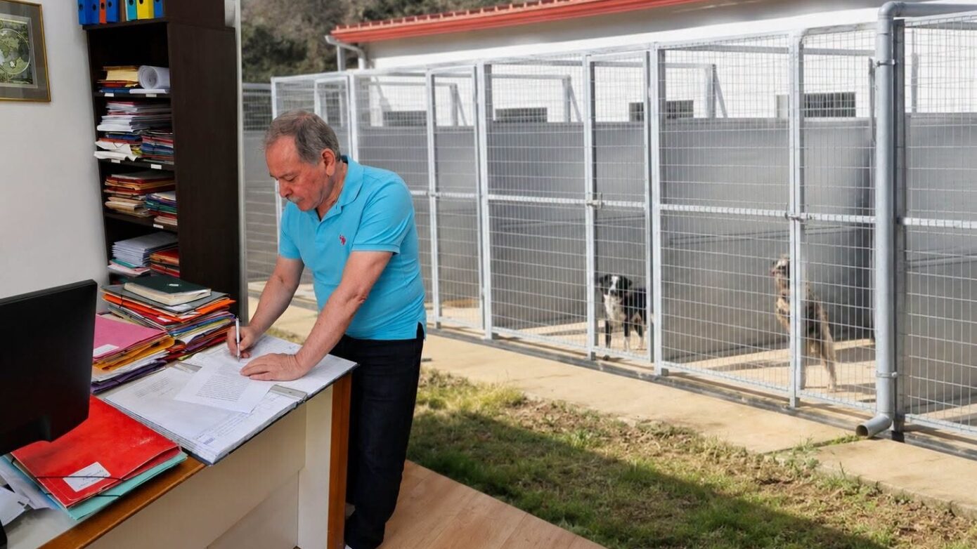 Κατασκευή νέου καταφυγίου αδέσποτων ζώων στην Κάλυμνο: πρώτο βήμα