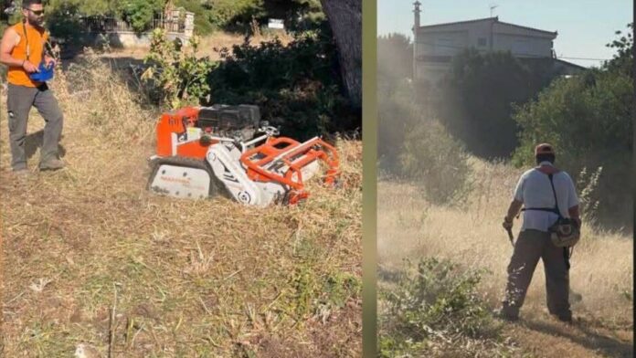 Δήμος Σπάτων-Αρτέμιδος: Συνεχίζονται οι εργασίες αποψίλωσης και πρόληψης πυρκαγιών