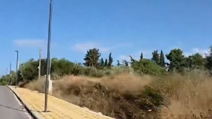 Δ.Ν. Προποντίδας: Ανάπλαση του παραλιακού μετώπου της Νέας Καλλικράτειας