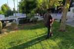 Ο ευπρεπισμός περιοχών συνεχίζεται στον Δήμο Ν. Φιλαδέλφειας-Ν. Χαλκηδόνας