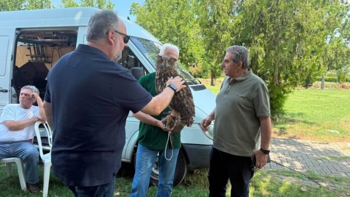 Περιβαλλοντική ενημέρωση για τα αρπακτικά πτηνά στον Δήμο Φαρσάλων