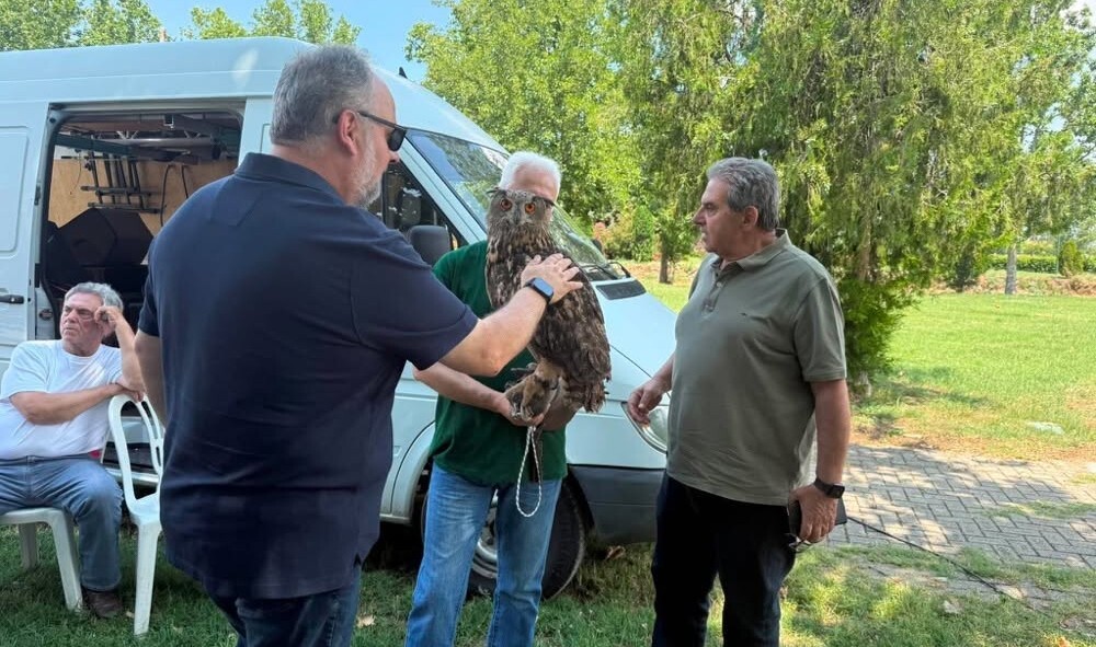 Περιβαλλοντική ενημέρωση για τα αρπακτικά πτηνά στον Δήμο Φαρσάλων