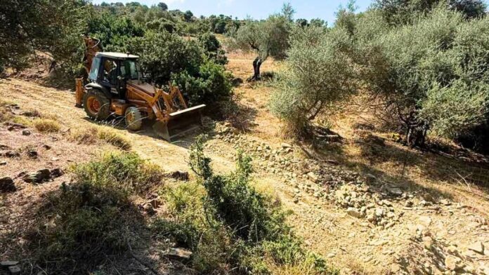 Δήμος Δυτ. Αχαΐας: διάνοιξη και συντήρηση αντιπυρικών ζωνών