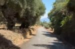 Ολοκληρώθηκε ο περιμετρικός δρόμος των Λουσικών στη Δ. Δυτ. Αχαΐας