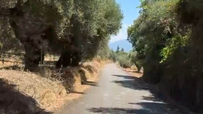 Ολοκληρώθηκε ο περιμετρικός δρόμος των Λουσικών στη Δ. Δυτ. Αχαΐας