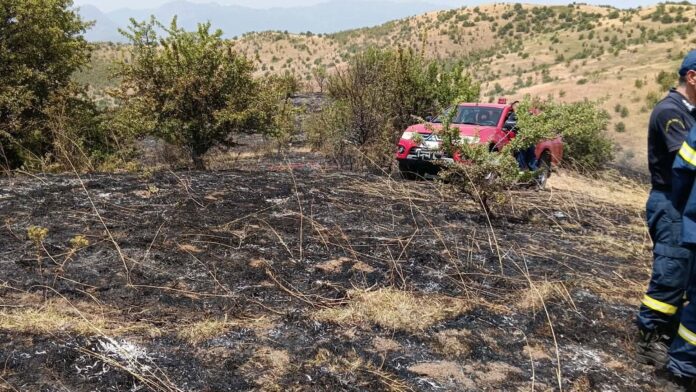 Πυρκαγιά υπό έλεγχο μεταξύ των Δ.Κ. Χάρμα και Φανάρι, στο Δ.Μουζακίου