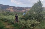Δήμος Τυρνάβου: Άμεση κινητοποίηση μετά το έντονο μπουρίνι στα Δελέρια