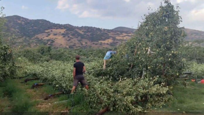Δήμος Τυρνάβου: Άμεση κινητοποίηση μετά το έντονο μπουρίνι στα Δελέρια