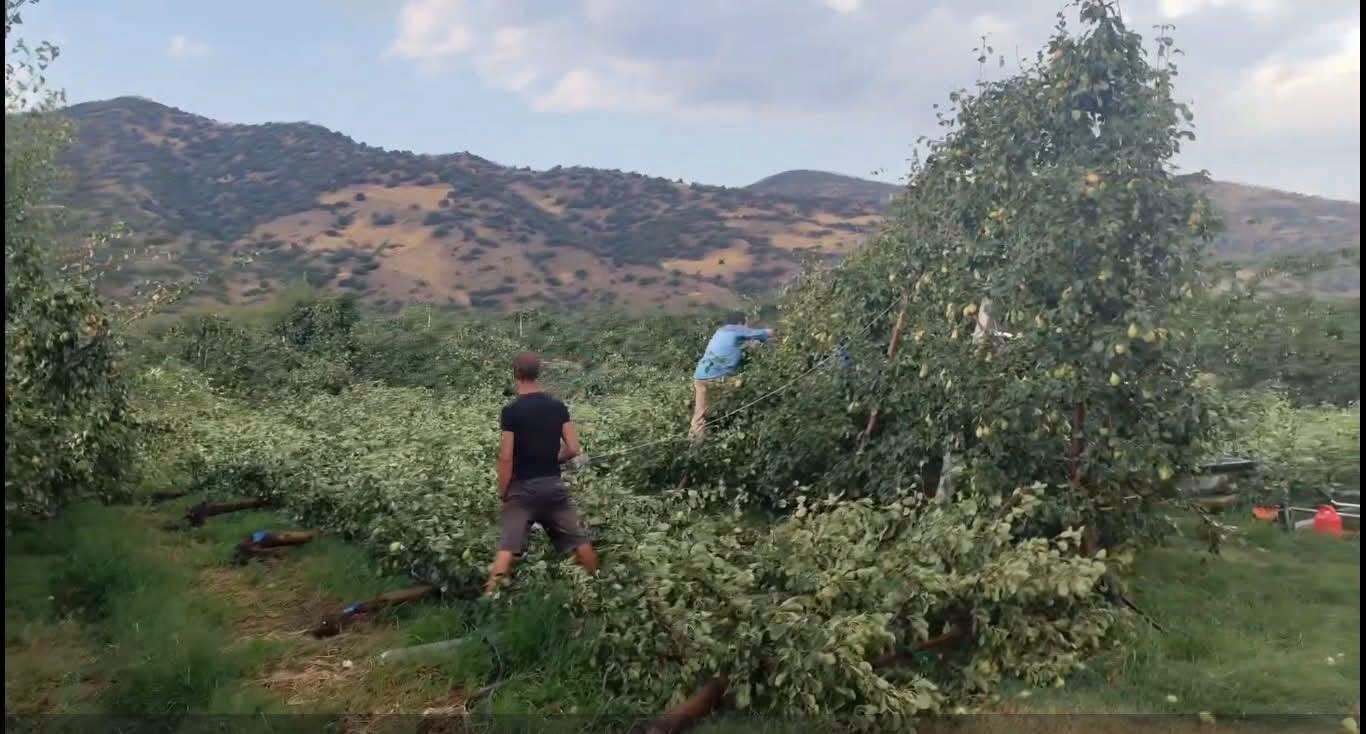 Δήμος Τυρνάβου: Άμεση κινητοποίηση μετά το έντονο μπουρίνι στα Δελέρια